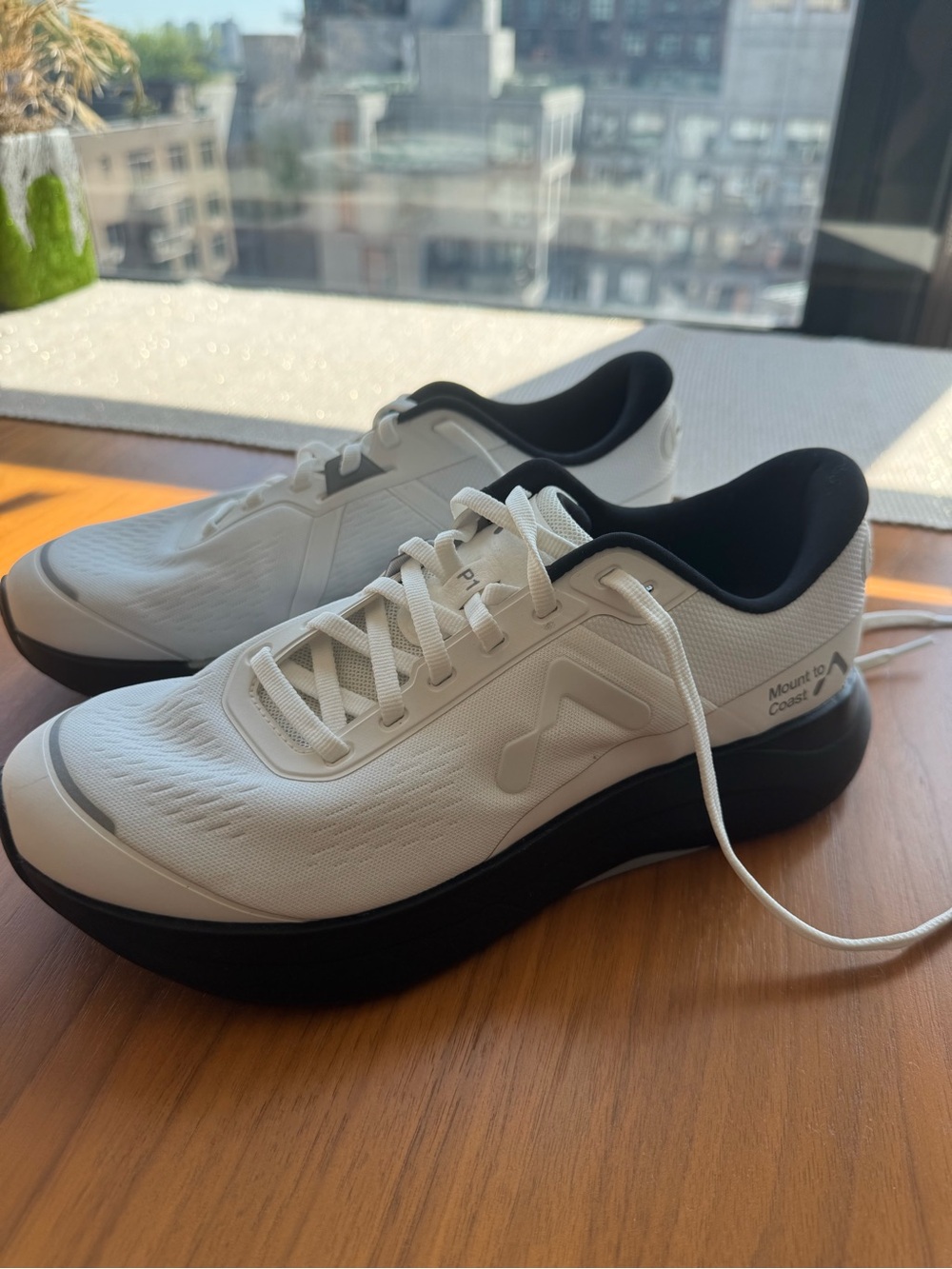 Mount to Coast P1 in White/Black 8.5W